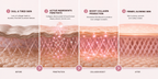 Maison Seoul – Collagen Renewal Cream