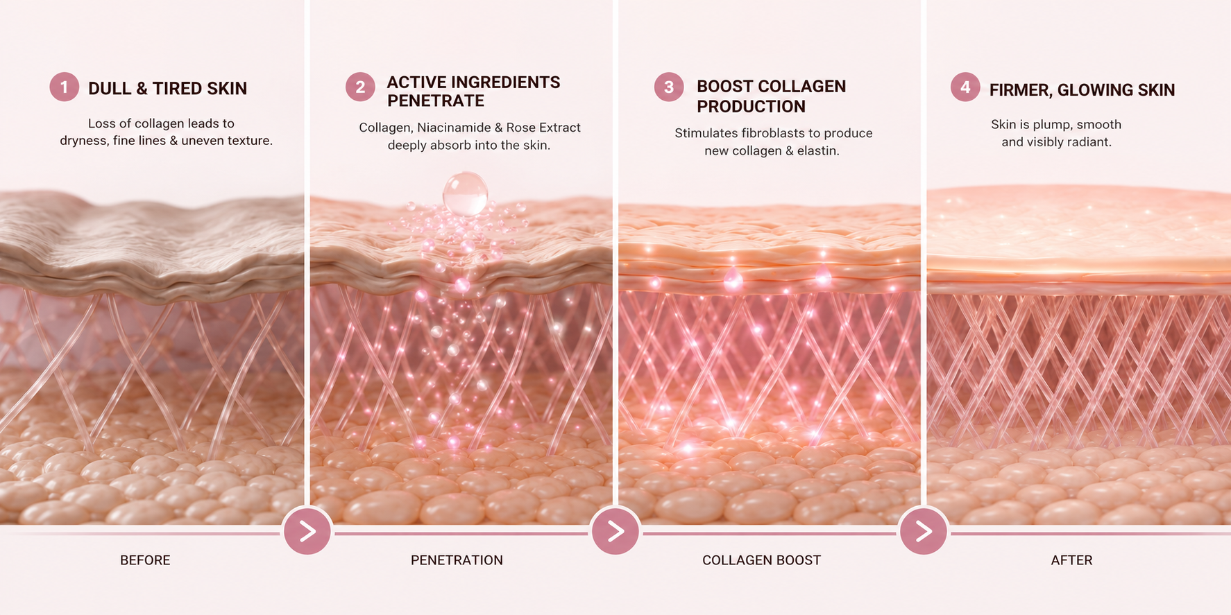 Maison Seoul – Collagen Renewal Cream